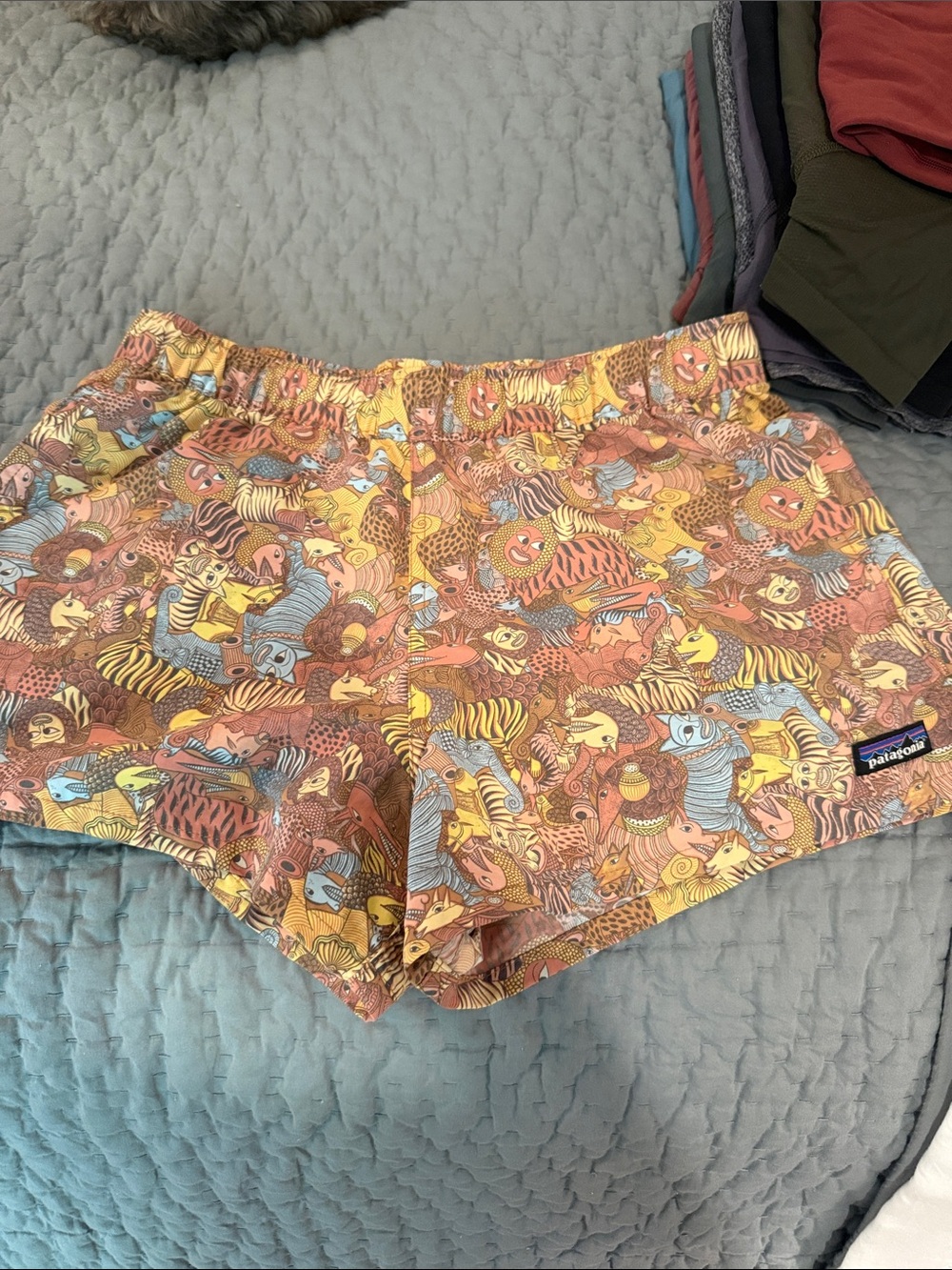 Patagonia barely baggies size small